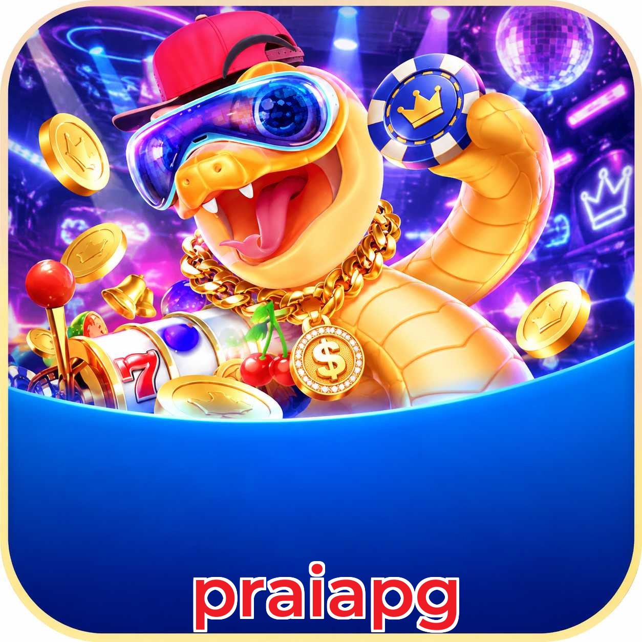 praiapg Facebook Group