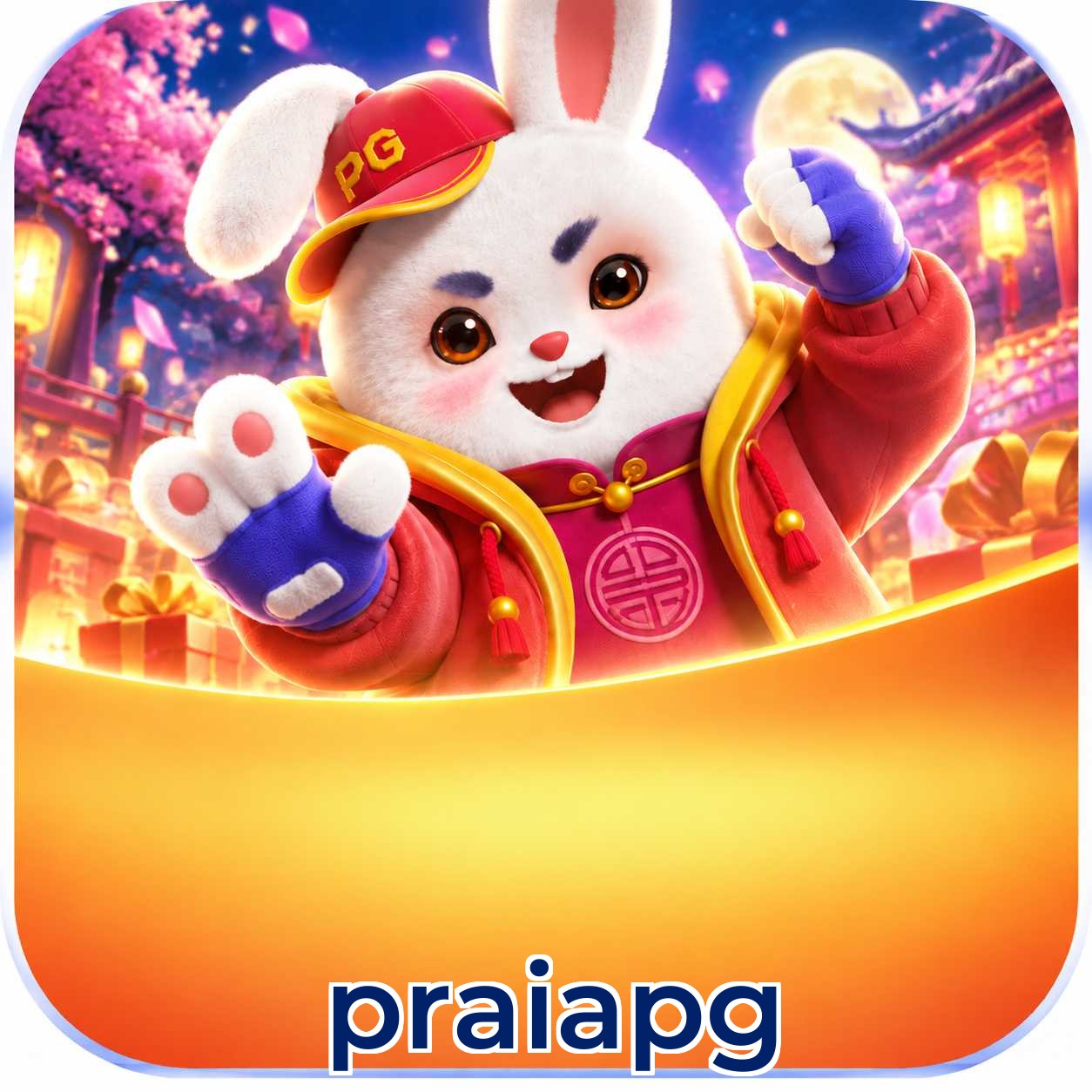 praiapg VIP FAQ