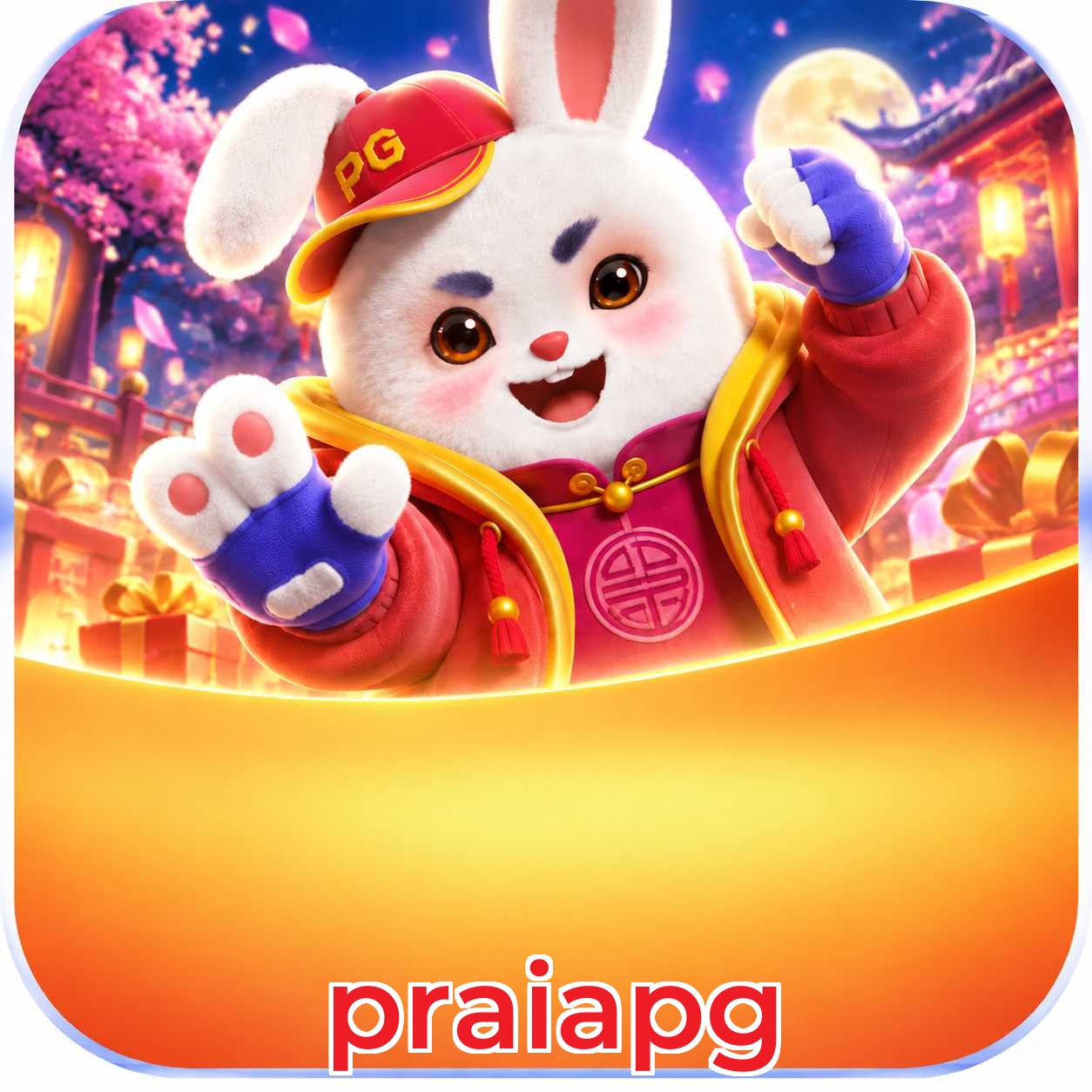 praiapg Login FAQ